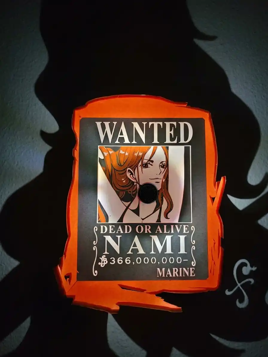 Nami // Cat Burglar